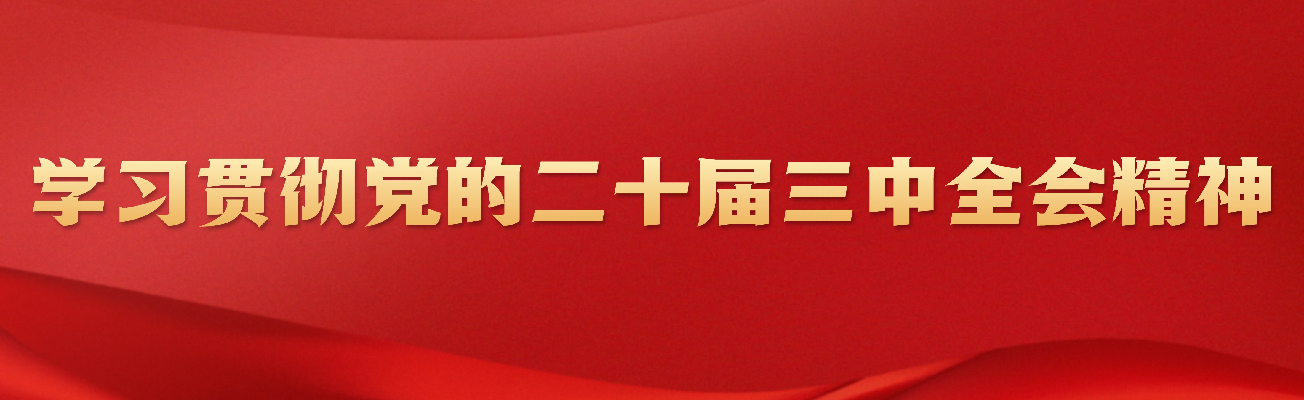 學(xué)習(xí)貫徹黨的二十屆三中全會精神